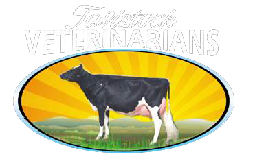 Welcome to Tavistock Veterinarians - Dairy Division